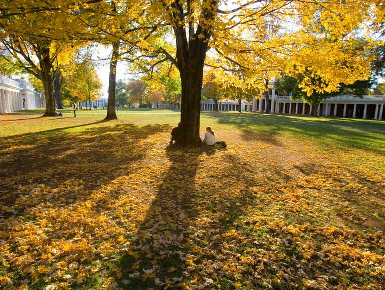 UVA Lawn in Fall