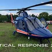critical-response-2019